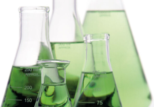 Замена нефти: Green Science Alliance представляет биоклей