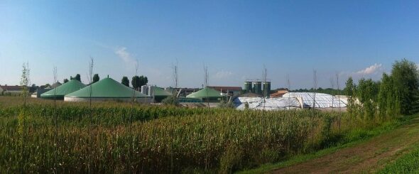 Биогаз в США: общественная поддержка открывает путь для инвестиций