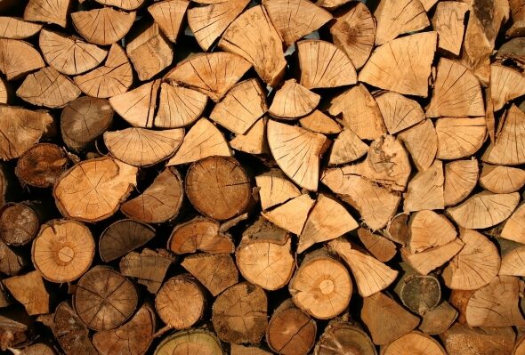Прорыв в биоэнергетике: 99% улавливания CO₂ и чистая энергия из отходов