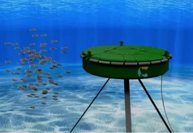 ЕС выделил €4 млн на проект COIN для развития волновой энергетики