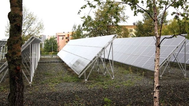 20_photo_n2_1.jpg