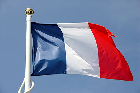 d44bf31bad0c27fbfcf2d3e7a7b9e849