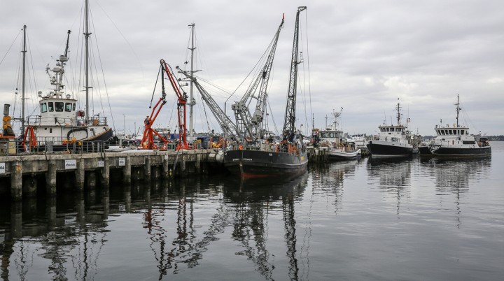 Массачусетс инвестирует свыше $11 млн в океанские климатические технологии