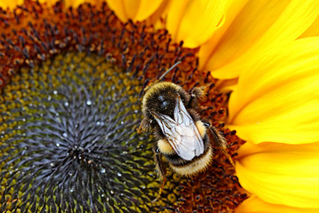 46d44d16b66494302cf58e97cf452f88