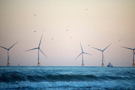 5c62a18372bfa0cadcbb5dda4e269542