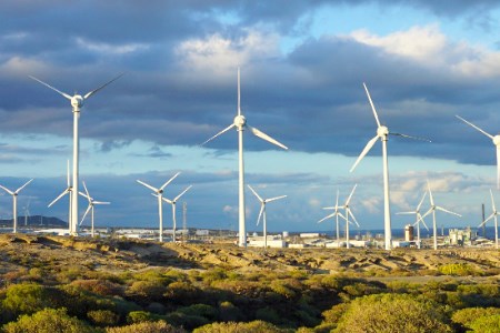 b77413ee724349d9a6f2730d14ded204