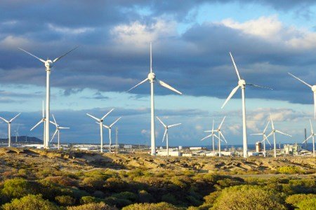 b77413ee724349d9a6f2730d14ded204