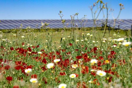 2d3865a24c1603ab27145018a725d2e0