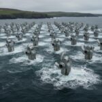 1772133520737-j9kzhl57nlm