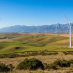 1772468317313-twjm3v6a3u