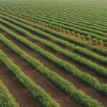 1772702322336-6zz458ueiun