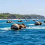 1773335924400-wp3jcy8tdmh