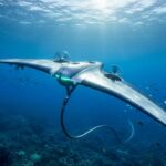 1773940714485-6jh1i8q8r33