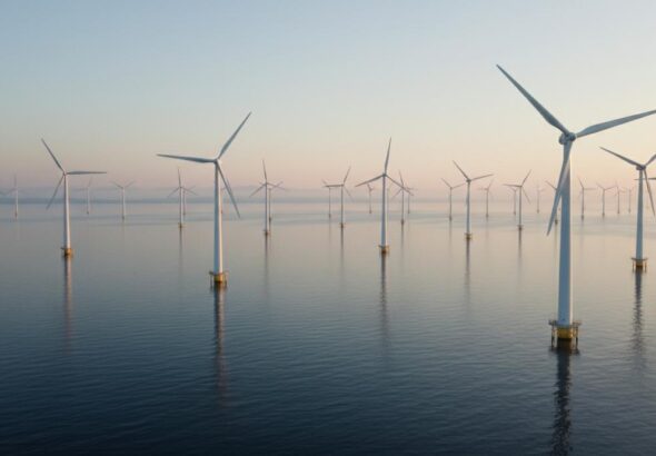 1774019903641-9flx61bu9sv