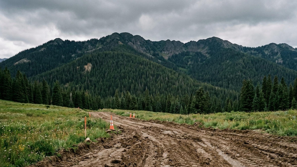 Экологи выступают против строительства новой ВЭС в Карпатах