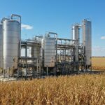 1775117909134-q3eqvg89zk