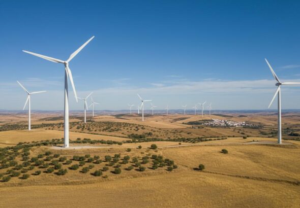 1775845123461-jrojt5p9ih