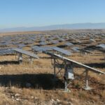 1776079124959-anj7nd1bwjm