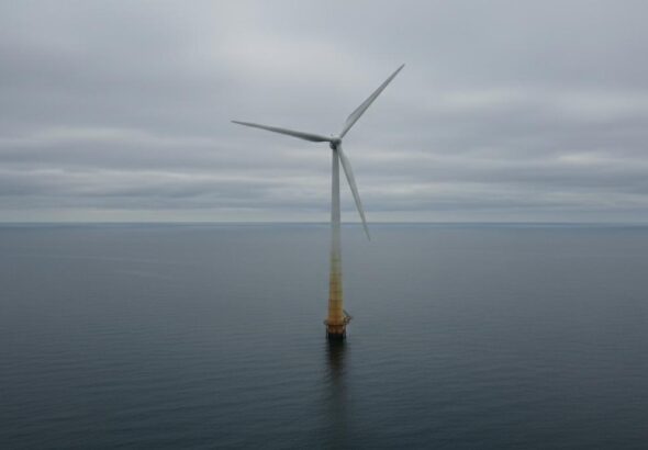 1776269907491-ekrc1c9icbm