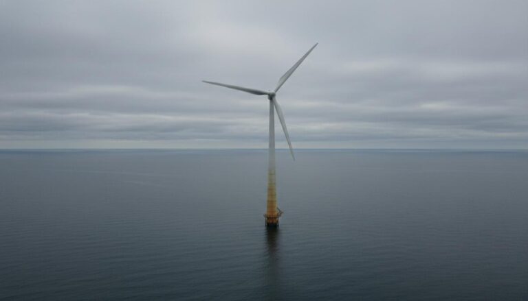 1776269907491-ekrc1c9icbm