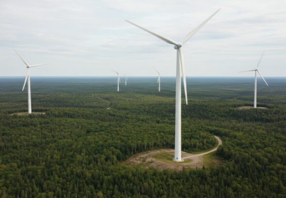 1777378705933-7zfsg9r2ki