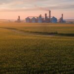 1777475929349-vrd0xh1c8td