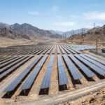 782950993980_1200.jpg