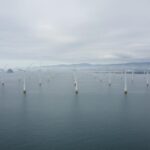 1790180330785-t8g2pwpcu8b